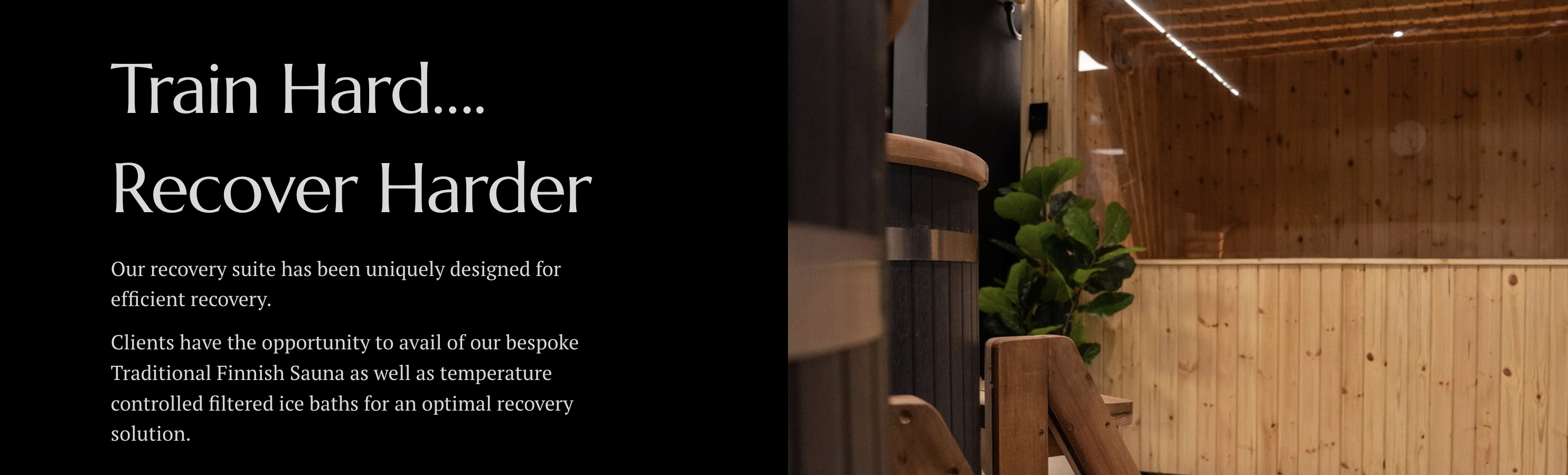 Contrast Revival Recovery Suite website